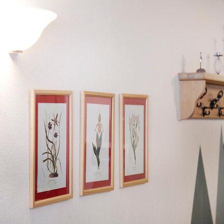 Residence Larice Bianco App N3 坎波多尔奇诺 外观 照片