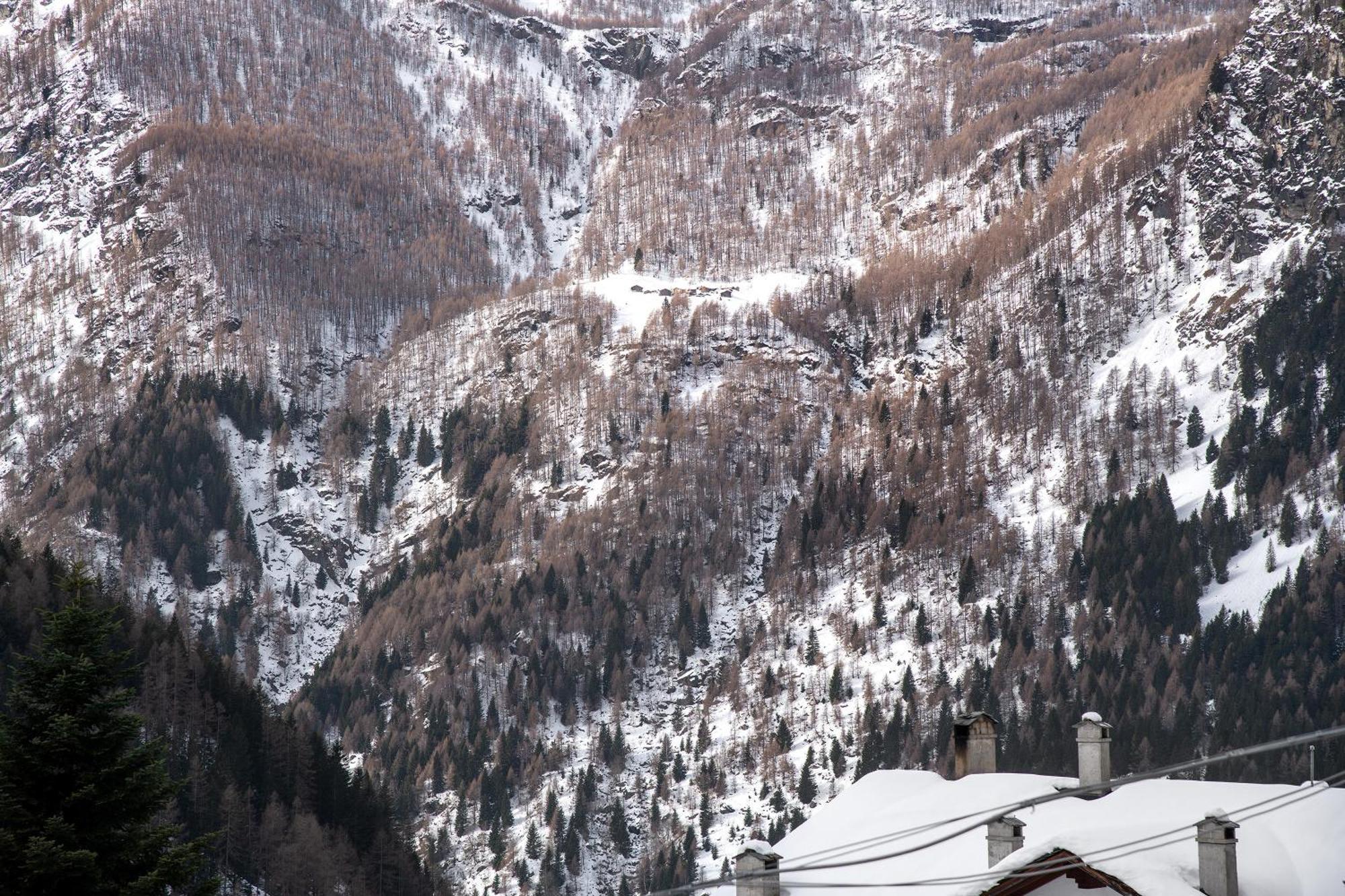 Residence Larice Bianco App N3 坎波多尔奇诺 外观 照片